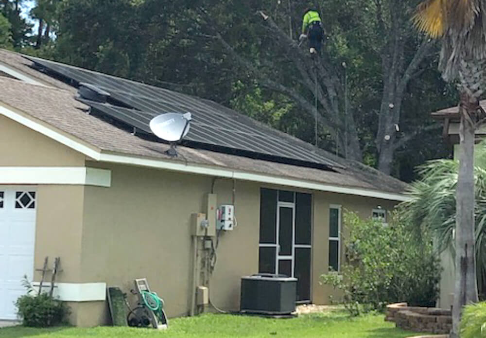 Solar Energy Panels Orlando